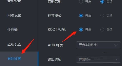 雷电模拟器root权限有什么用