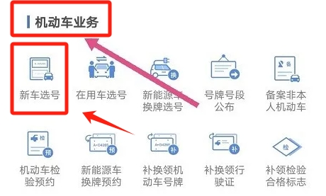 交管12123怎么选车牌号技巧