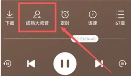 番茄畅听切换声音选项没有了